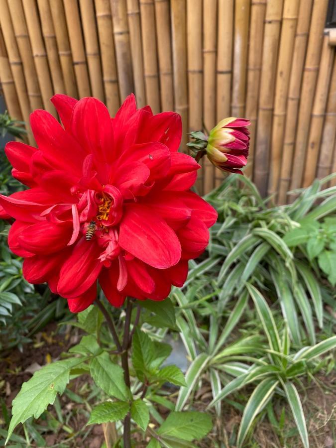 Trang An Moon Garden Homestay Ninh Bình Ngoại thất bức ảnh