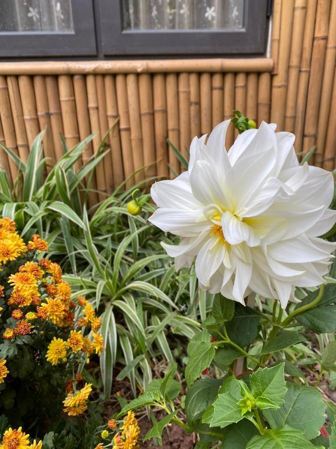 Trang An Moon Garden Homestay Ninh Bình Ngoại thất bức ảnh