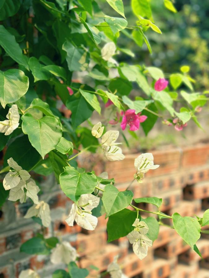 Trang An Moon Garden Homestay Ninh Bình Ngoại thất bức ảnh