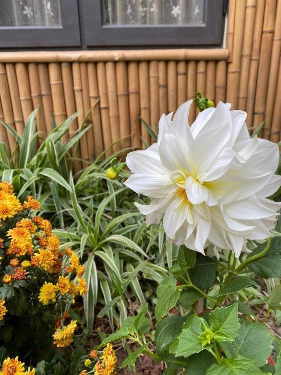 Trang An Moon Garden Homestay Ninh Bình Ngoại thất bức ảnh