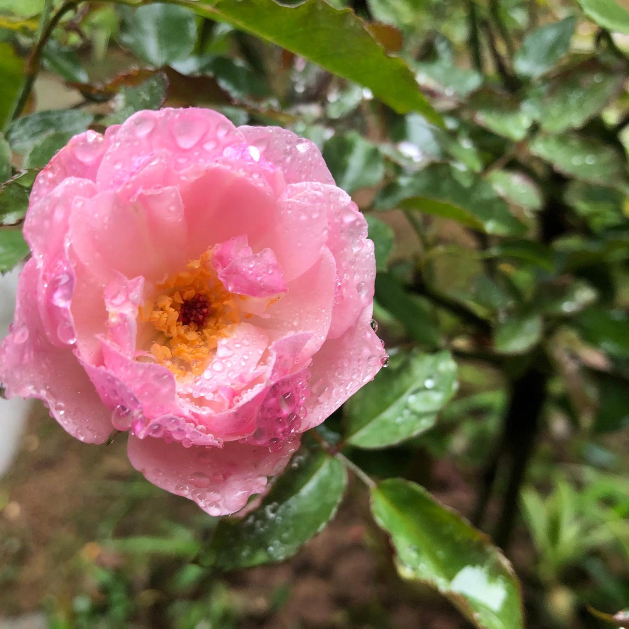 Trang An Moon Garden Homestay Ninh Bình Ngoại thất bức ảnh