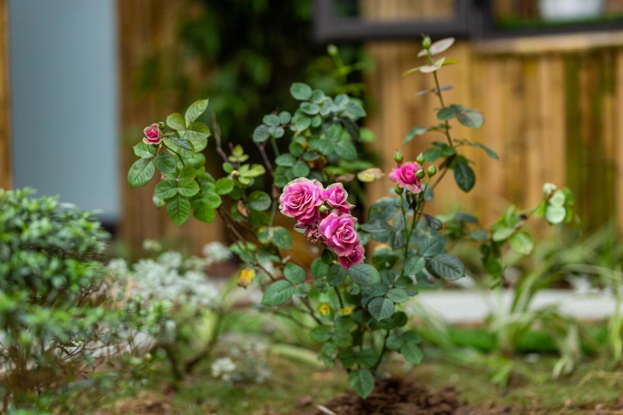 Trang An Moon Garden Homestay Ninh Bình Ngoại thất bức ảnh